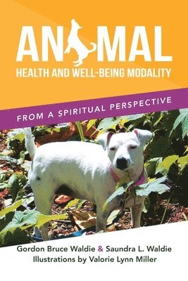 Animal Health and Well-Being Modality 1