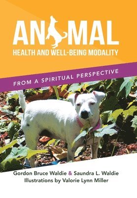 bokomslag Animal Health and Well-Being Modality