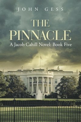 The Pinnacle 1