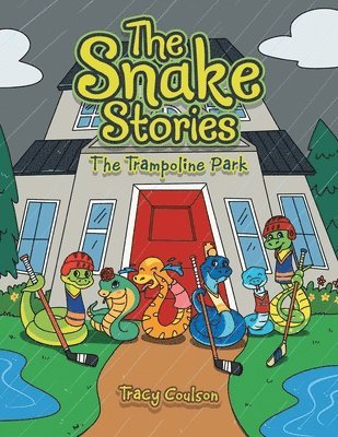 bokomslag Snake Stories