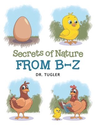 Secrets of Nature from B-Z 1
