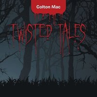 bokomslag Twisted Tales