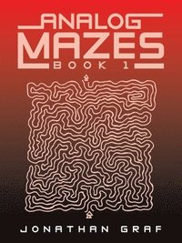bokomslag Analog Mazes