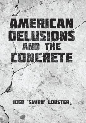 bokomslag American Delusions and the Concrete