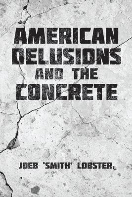 bokomslag American Delusions and the Concrete