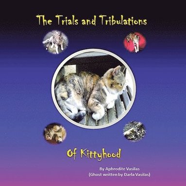 bokomslag The Trials and Tribulations of Kittyhood