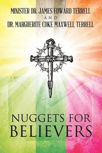 bokomslag Nuggets for Believers