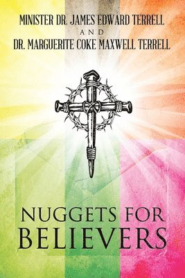 bokomslag Nuggets for Believers