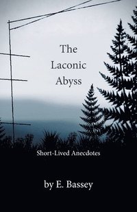 bokomslag The Laconic Abyss