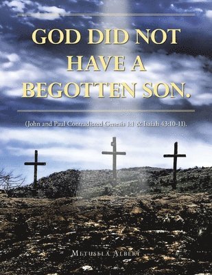 bokomslag God Did Not Have a Begotten Son.