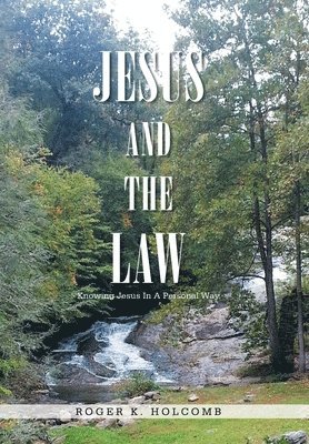 bokomslag Jesus and the Law