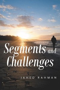 bokomslag Segments and Challenges