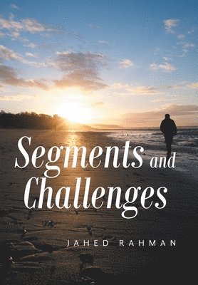 bokomslag Segments and Challenges