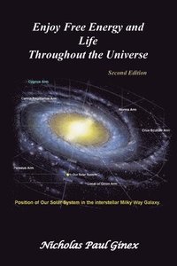 bokomslag Enjoy Free Energy and Life Throughout the Universe: Second Edition