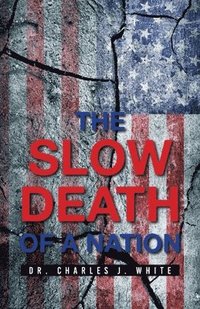 bokomslag Slow Death of a Nation