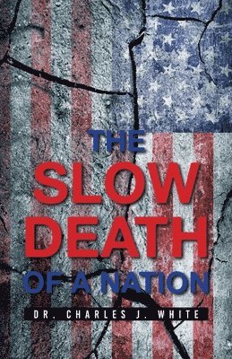 bokomslag Slow Death of a Nation