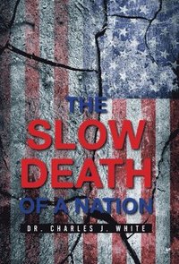 bokomslag Slow Death of a Nation