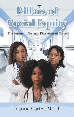 Pillars of Social Equity 1