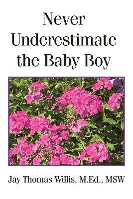 bokomslag Never Underestimate the Baby Boy