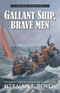 bokomslag Gallant Ship, Brave Men