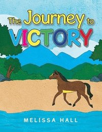 bokomslag Journey to VICTORY