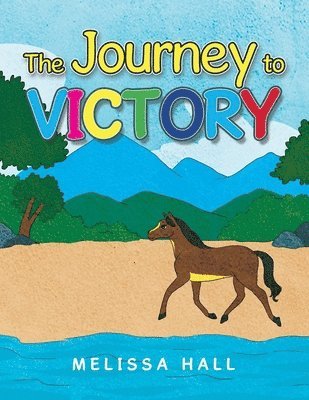 bokomslag Journey to VICTORY