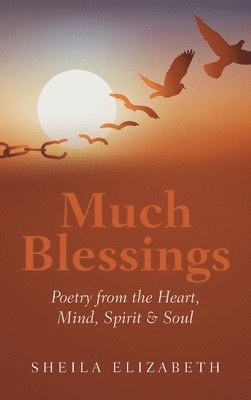 Much Blessings 1