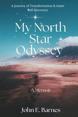 bokomslag My North Star Odyssey
