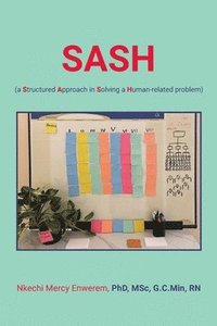 bokomslag SASH (a Structured Approach in Solving a Human-related problem)