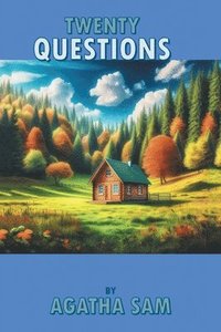 bokomslag Twenty Questions