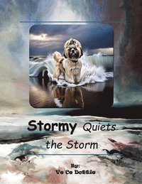 bokomslag Stormy Quiets The Storm