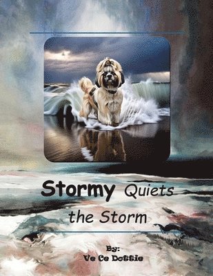 bokomslag Stormy Quiets The Storm