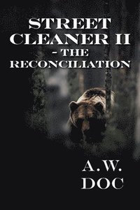 bokomslag Street Cleaner II - The Reconciliation