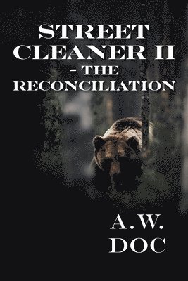 bokomslag Street Cleaner II - The Reconciliation
