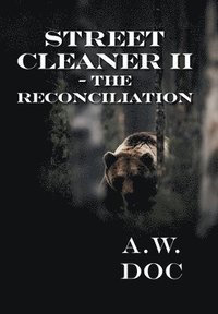 bokomslag Street Cleaner II - The Reconciliation