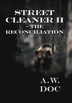 bokomslag Street Cleaner II - The Reconciliation