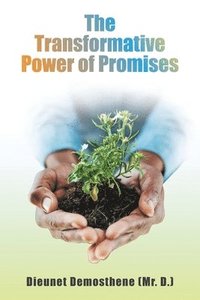 bokomslag Transformative Power of Promises