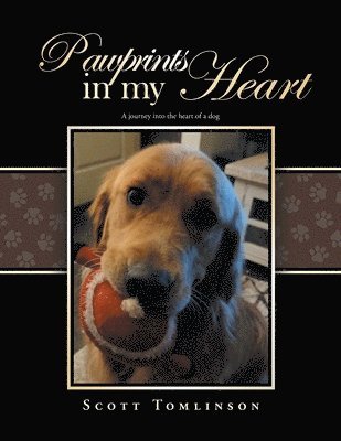 bokomslag Pawprints in my Heart