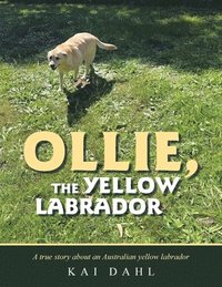 bokomslag Ollie, the Yellow Labrador