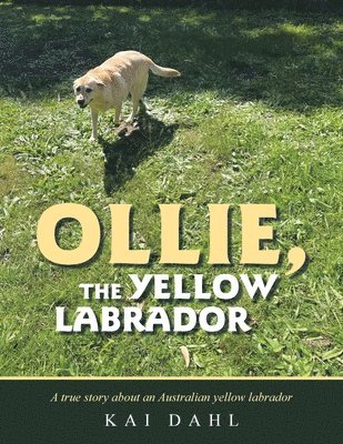 bokomslag Ollie, the Yellow Labrador