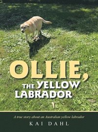 bokomslag Ollie, the Yellow Labrador