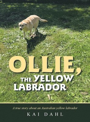 bokomslag Ollie, the Yellow Labrador