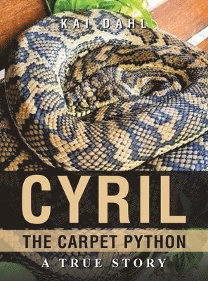Cyril the Carpet Python