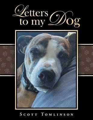 bokomslag Letters to my Dog