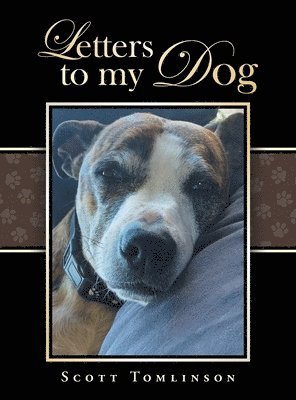 bokomslag Letters to my Dog