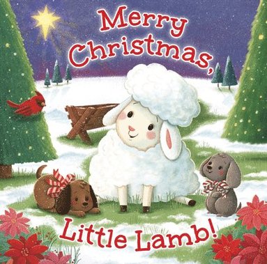 bokomslag Merry Christmas, Little Lamb!