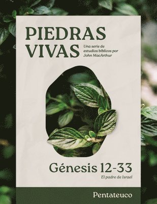 bokomslag Piedras Vivas: Génesis 12-33 - Estudio Bíblico: El Padre de Israel