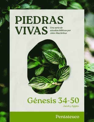 John MacArthur, John Macarthur - Piedras vivas: Genesis 34-50 - Estudio biblico, Häftad