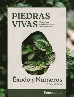 John MacArthur - Piedras vivas: Exodo y Numeros - Estudio biblico, Häftad. Tillgänglighet: Lägg i varukorg