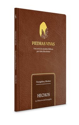 Piedras vivas: Hechos - Estudio biblico